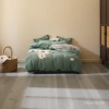 Simmons green bedding sponge mattress for the elderly, suitable for single and double beds Specification image